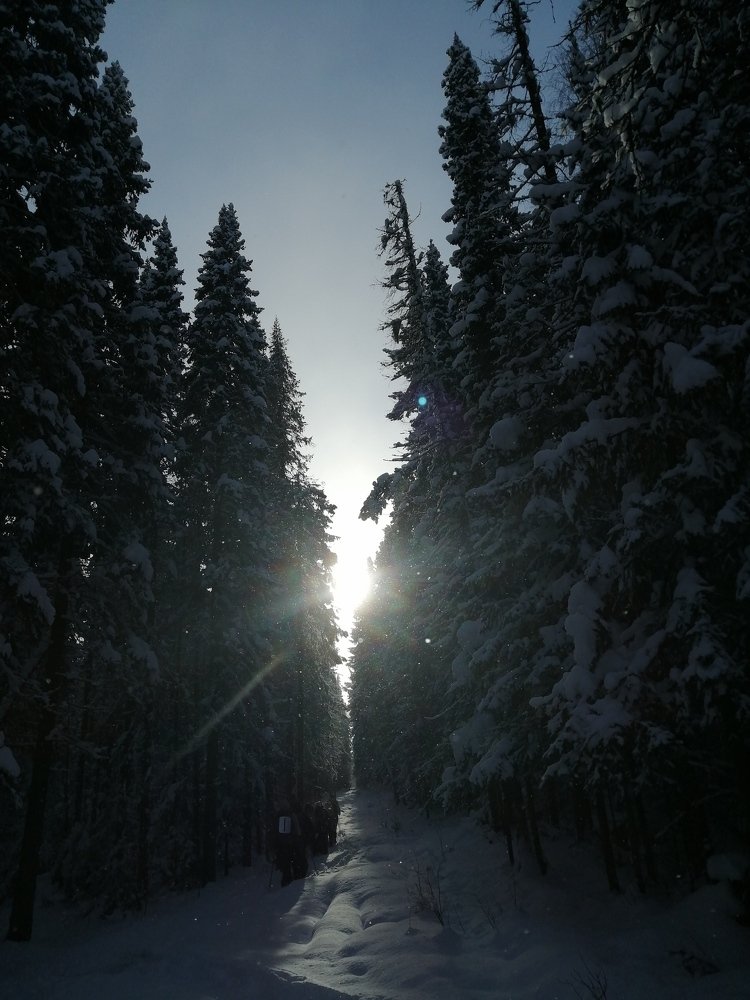 Photograph by Кирилл Смирнов