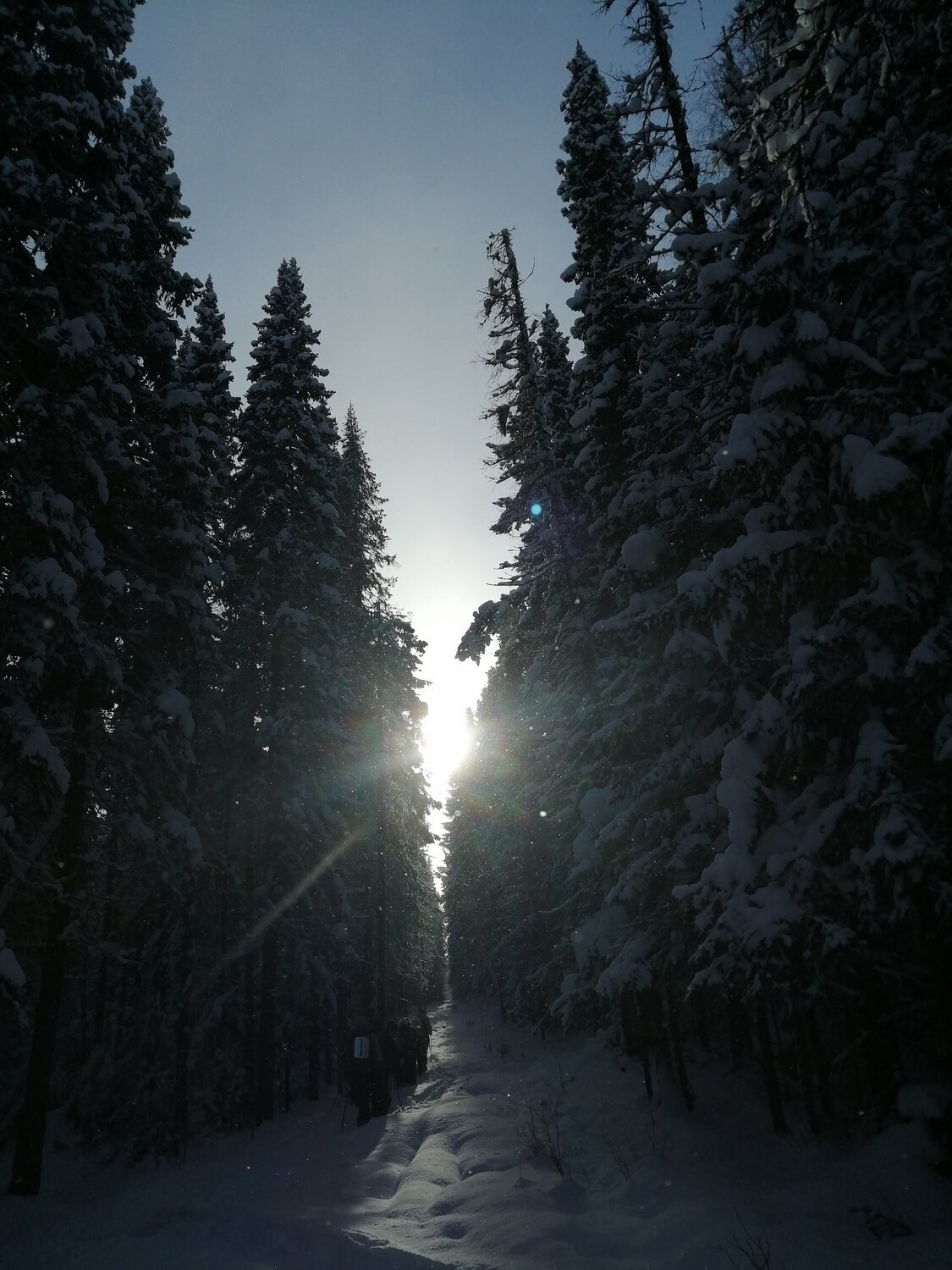 Photo #5257632