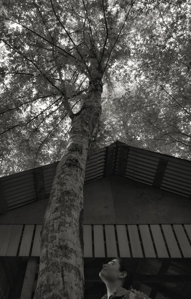 Photograph by Магомед-Салях Джамалдаев