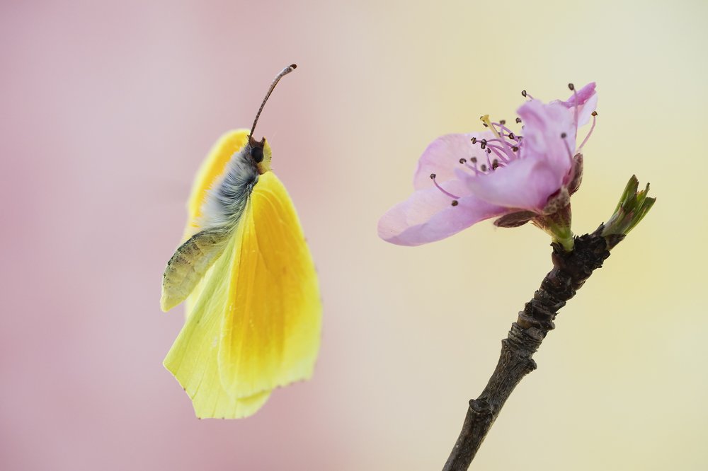 Photograph by FABIO SARTORI