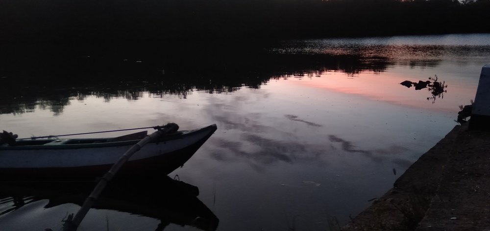Photo #5257805