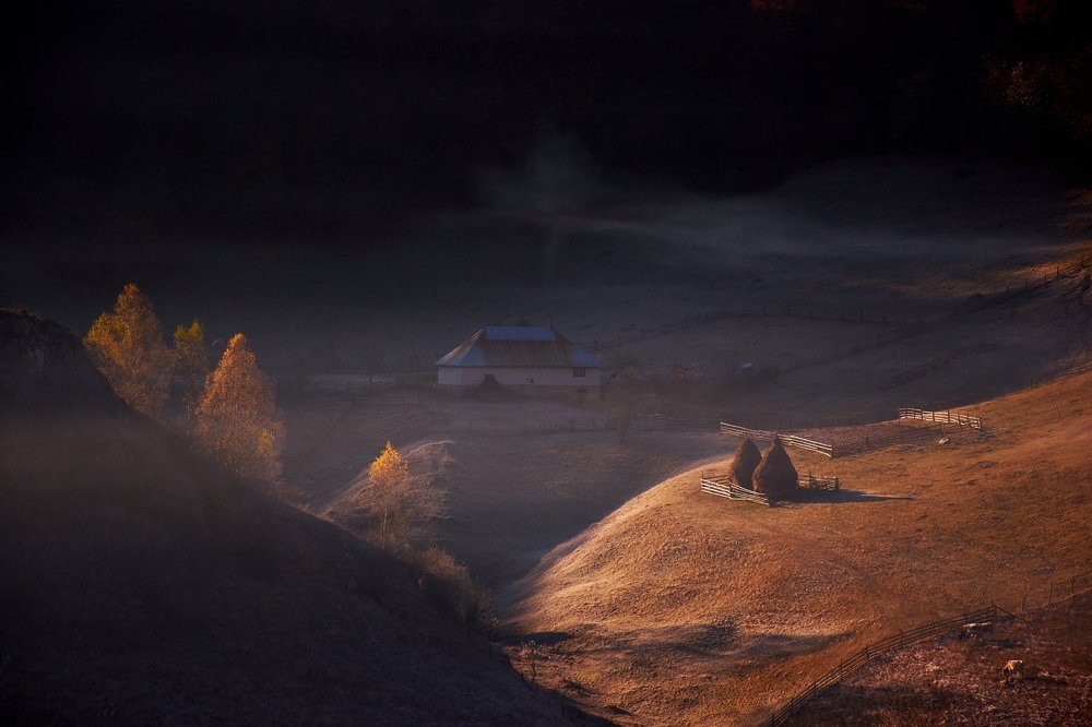 Фотография автора Ceausescu Adriana