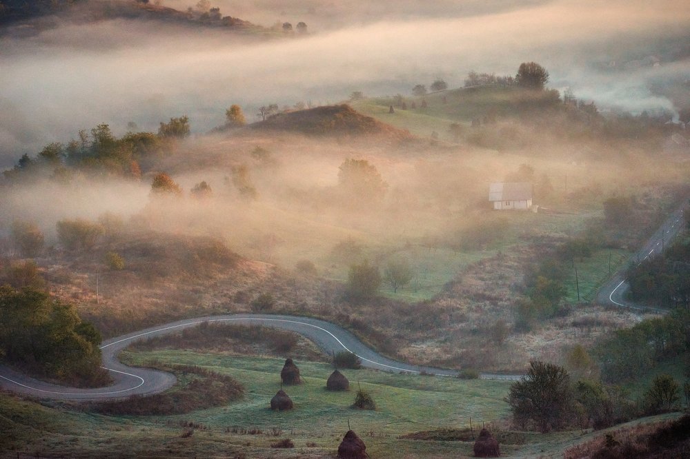 Фотография автора Ceausescu Adriana