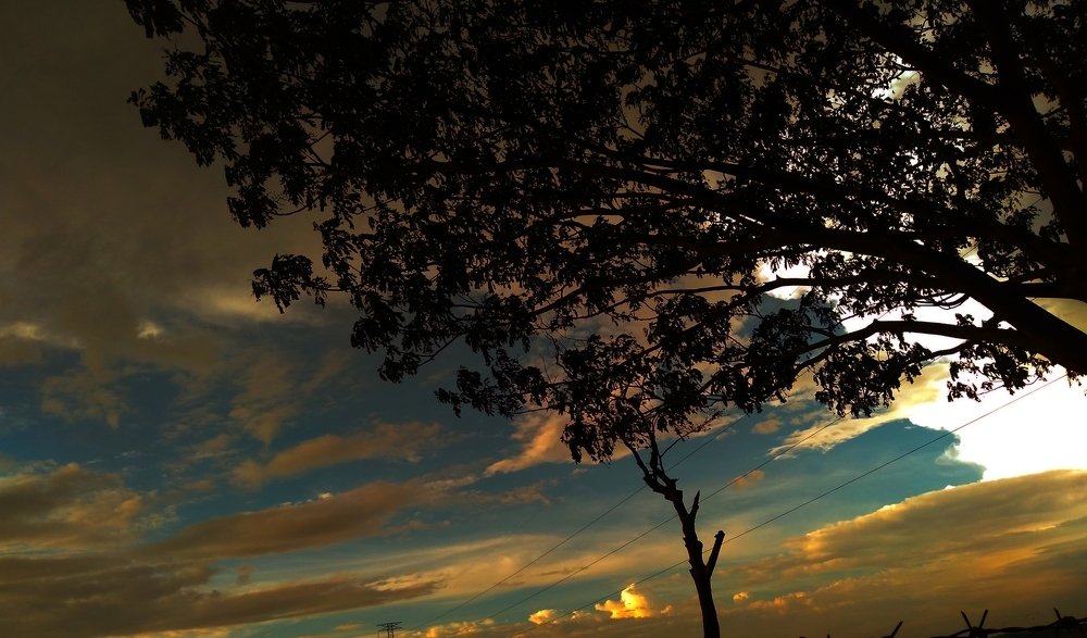 Photograph by Ilham Muhammed