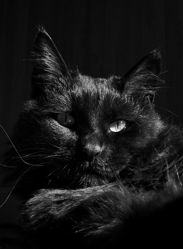 Photograph by Фаина Галиева