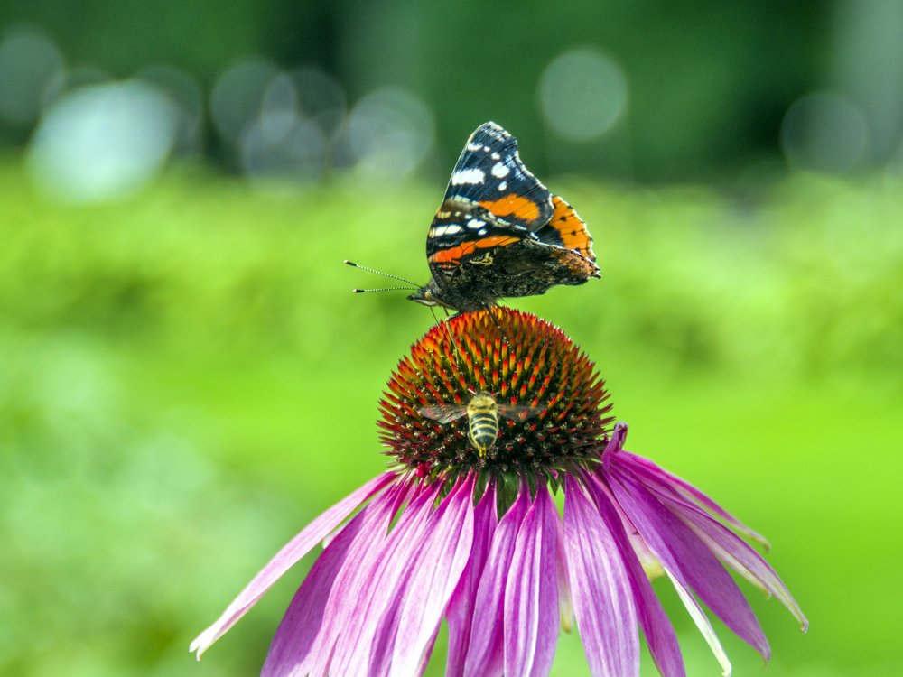 Photograph by Елена Чудиновских