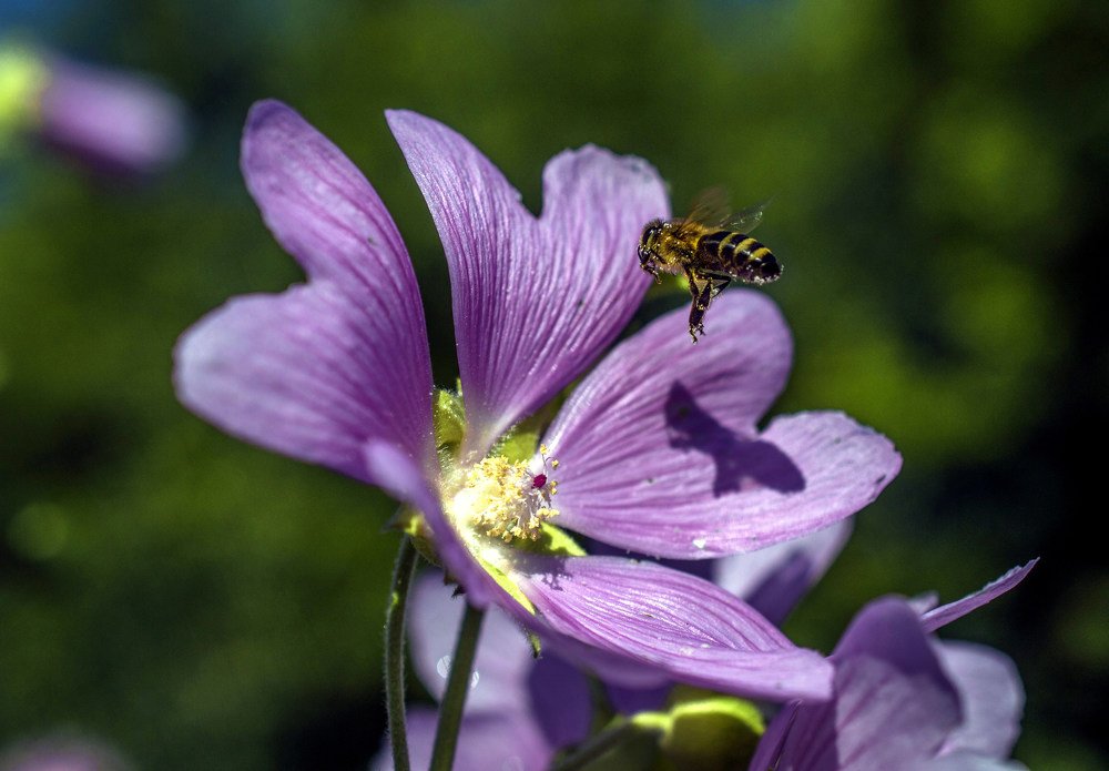Photograph by Елена Чудиновских