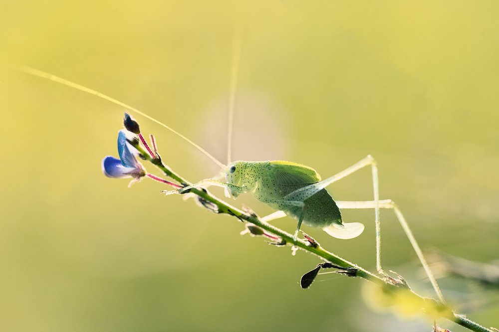 Photograph by Hemraj Chavhan A