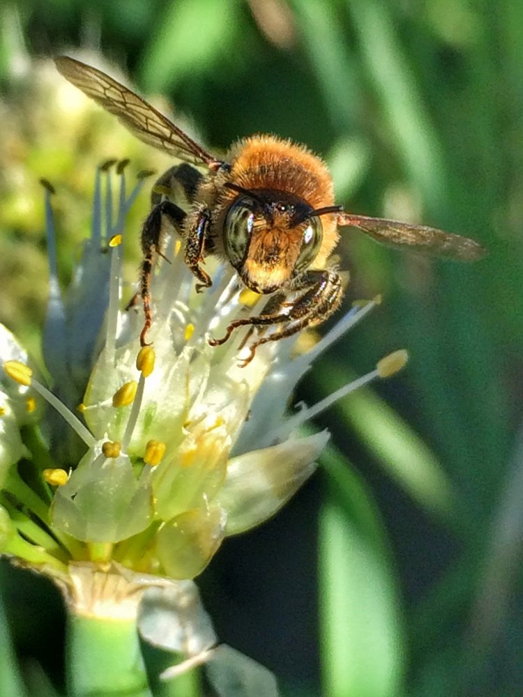 Photograph by Михаил Чмир