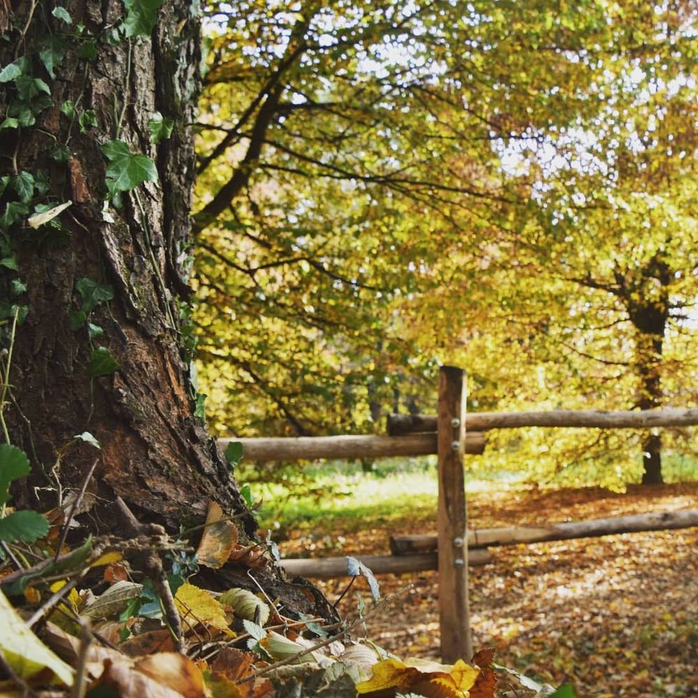 Фотография автора Vittoria Ghibaudi