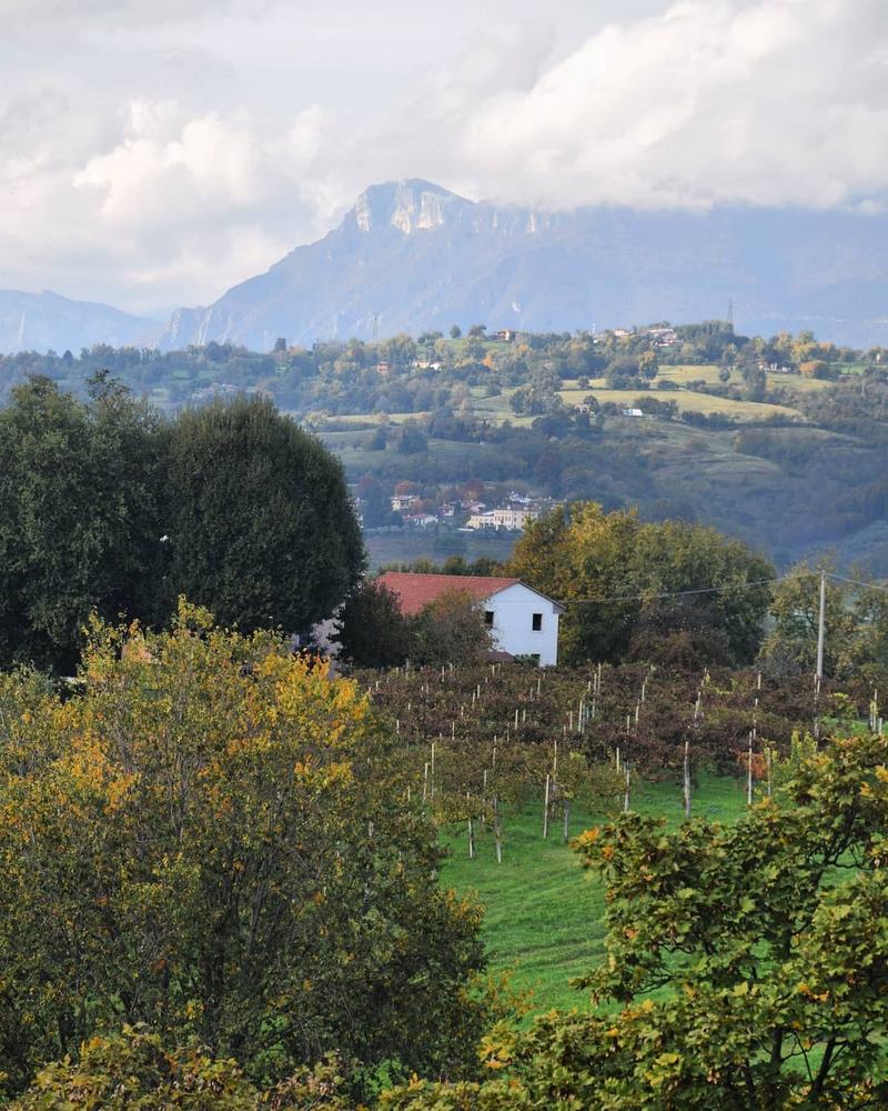 Фотография автора Vittoria Ghibaudi