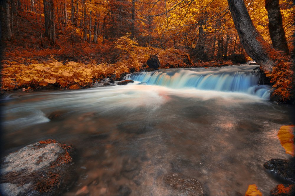 Photograph by Mihai Romeo Bogdan