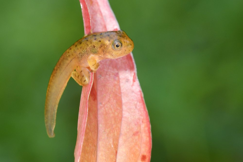 Photograph by Yuwaraj Gurjar