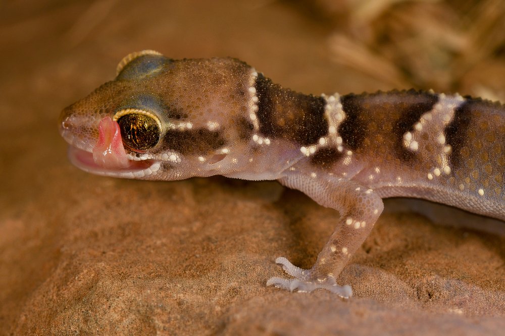 Photograph by Yuwaraj Gurjar