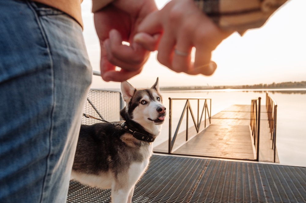 Photograph by Юрий Евграфов