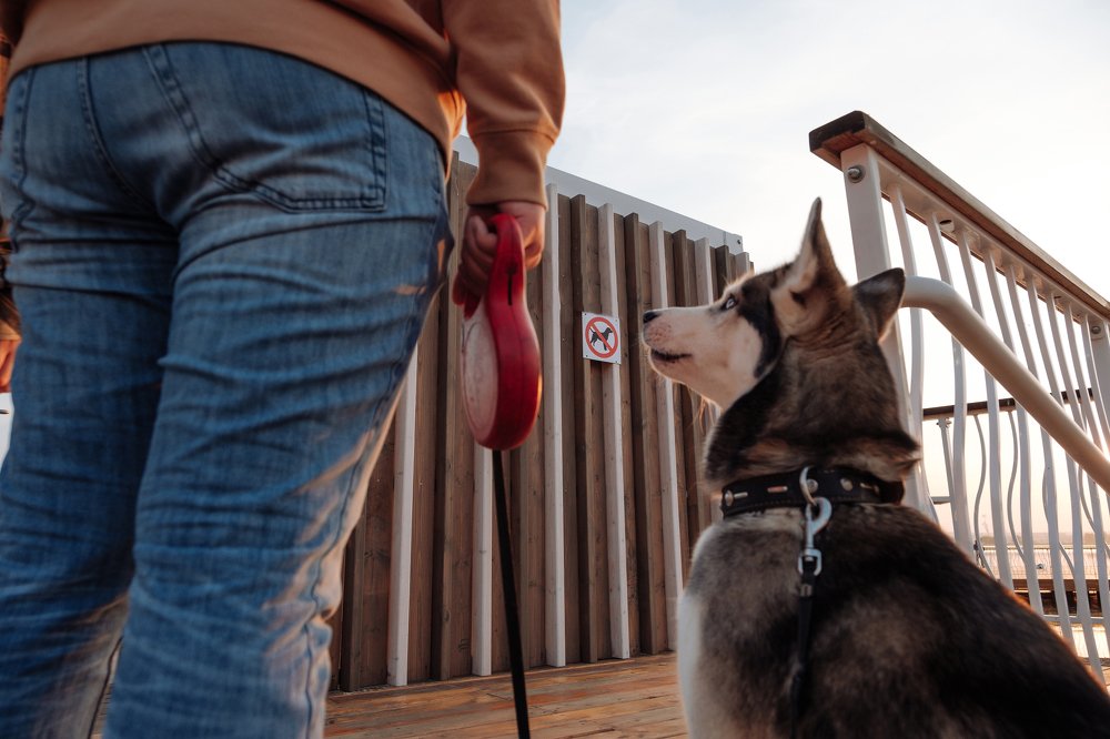 Photograph by Юрий Евграфов