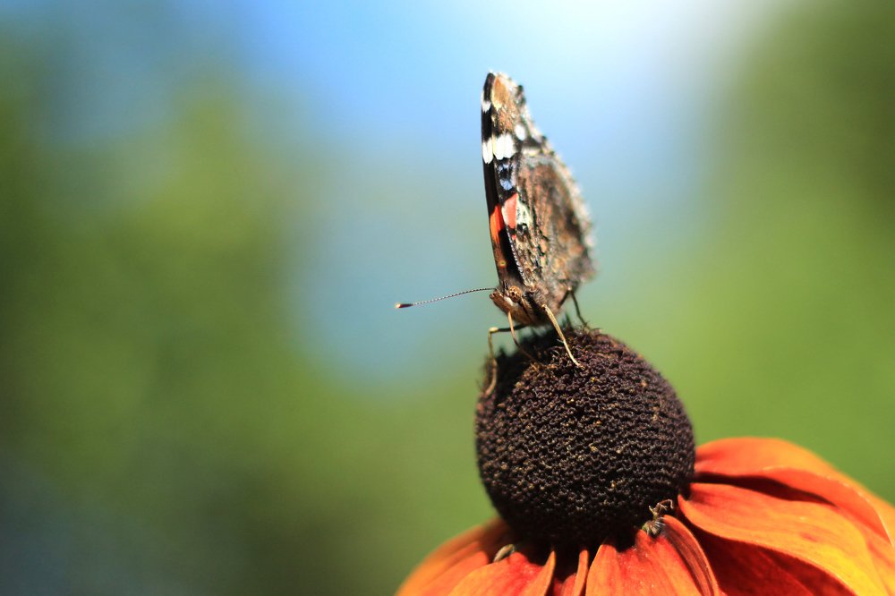 Photograph by Надежда
