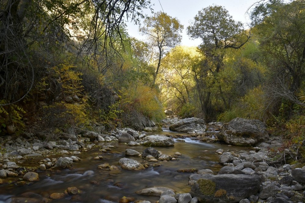 Photograph by Александр Грищенко