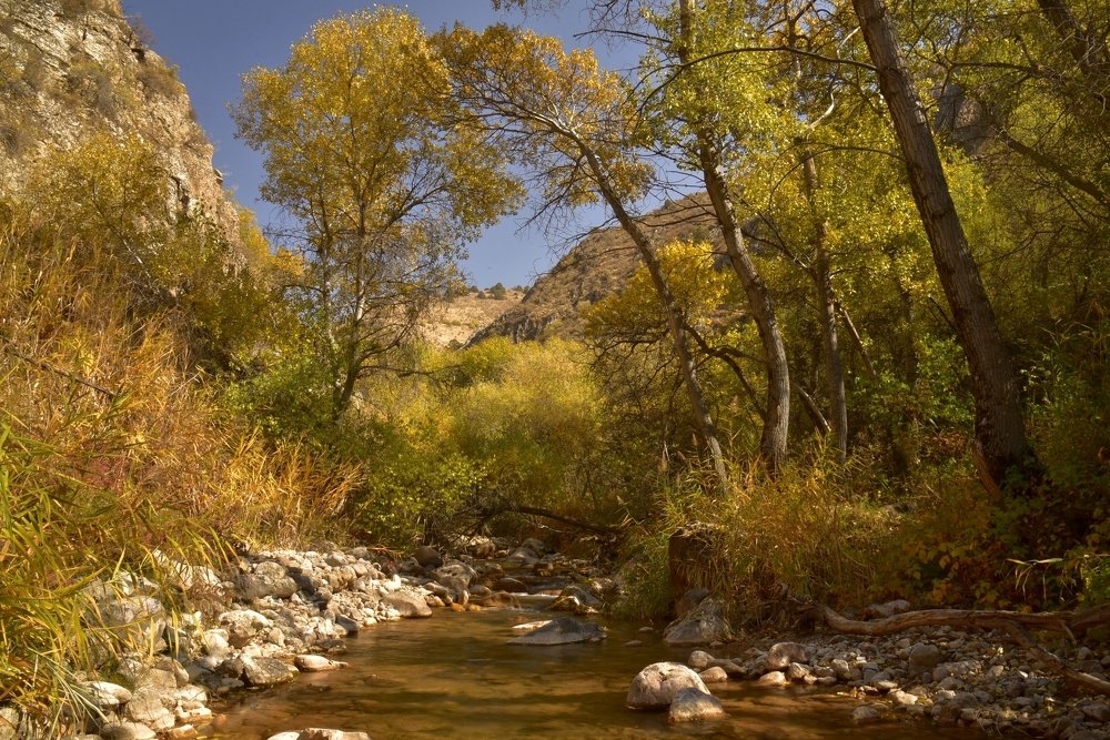 Photograph by Александр Грищенко