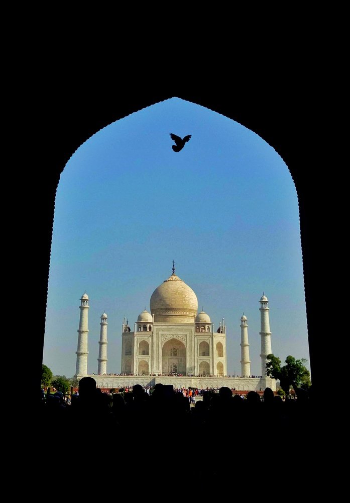 Photograph by Sai Vamsi Krishna Vintha