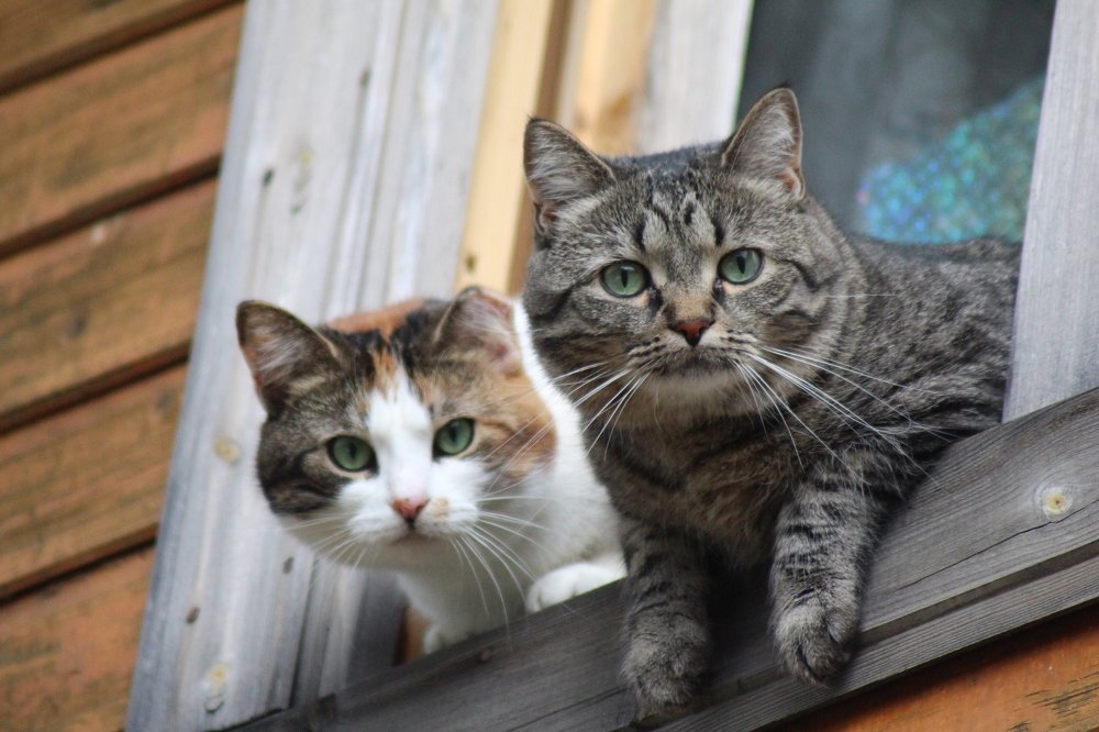 Photograph by Валентина