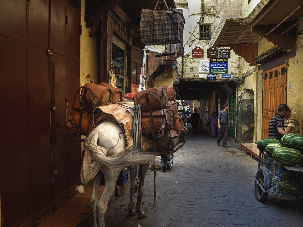 Photograph by Joaquin Silva