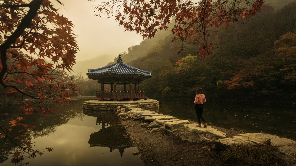 The Solitude of Autumn