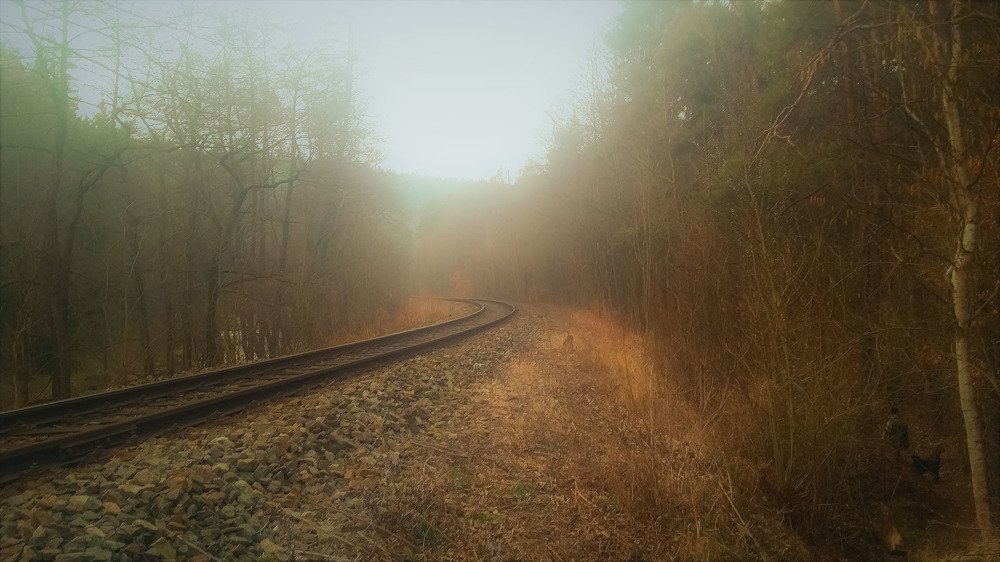 Photo #5258264