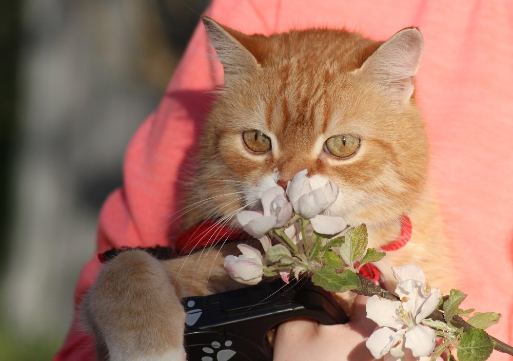 Photograph by Валентина