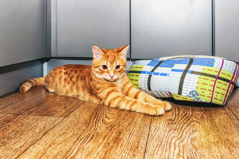 Улегся, типа отдохнуть..