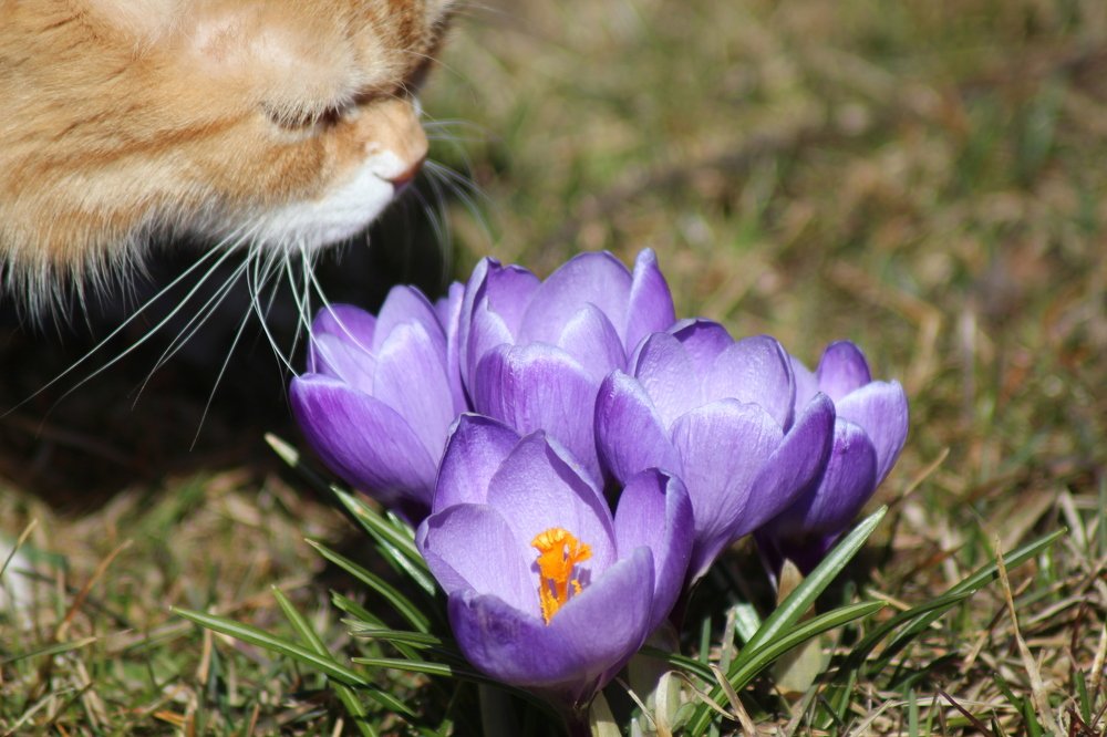 Photograph by Валентина