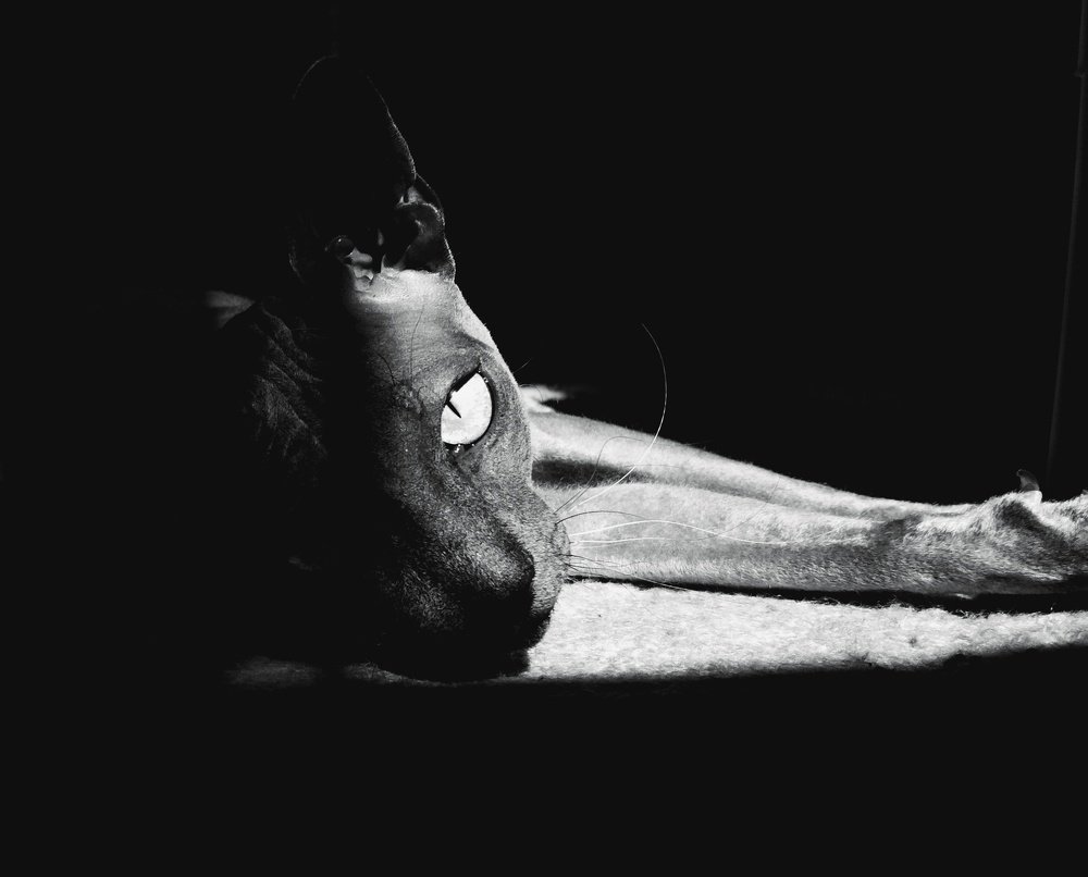 Photograph by Фаина Галиева