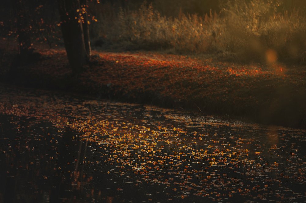 Photograph by Erika Tsogoeva