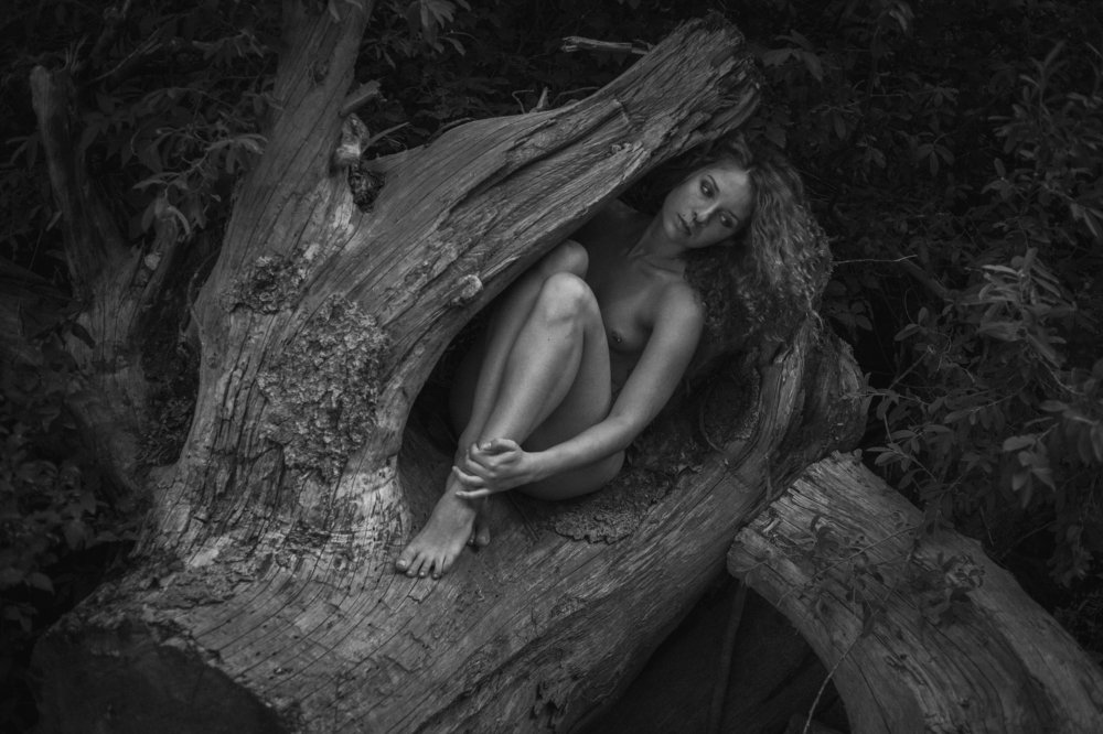 Фотография автора Sergey Nepsha