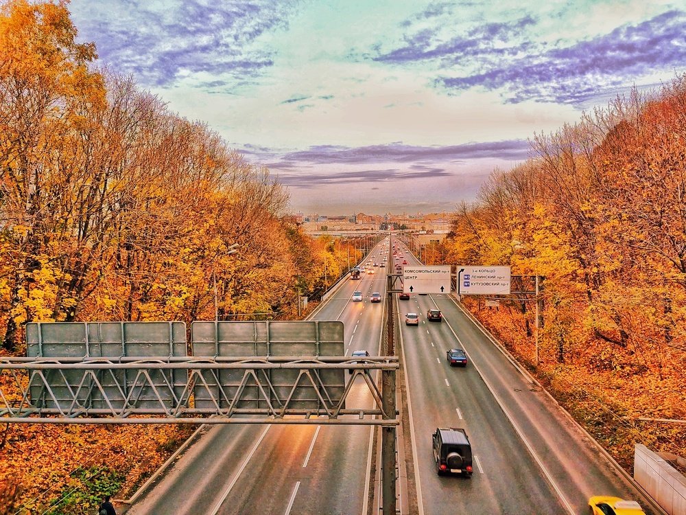 Photo #5258356