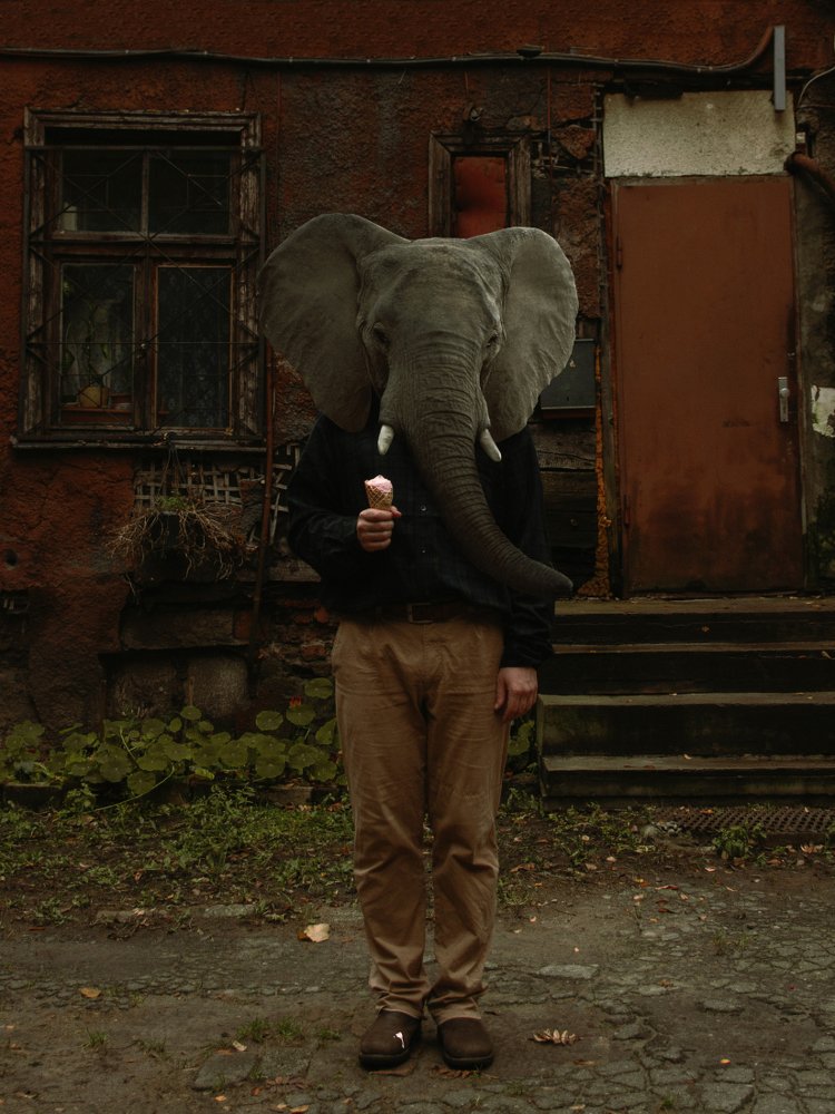 Photograph by Анна Коновалова