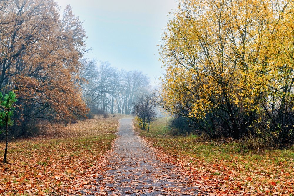 По дороге осенней