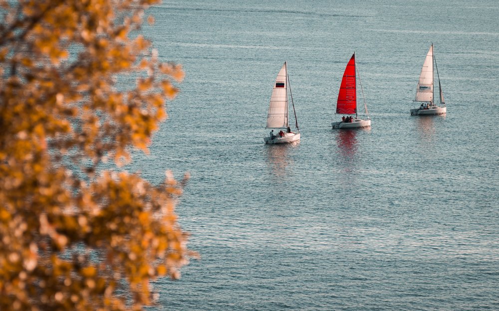 Photograph by Дмитрий Цикин