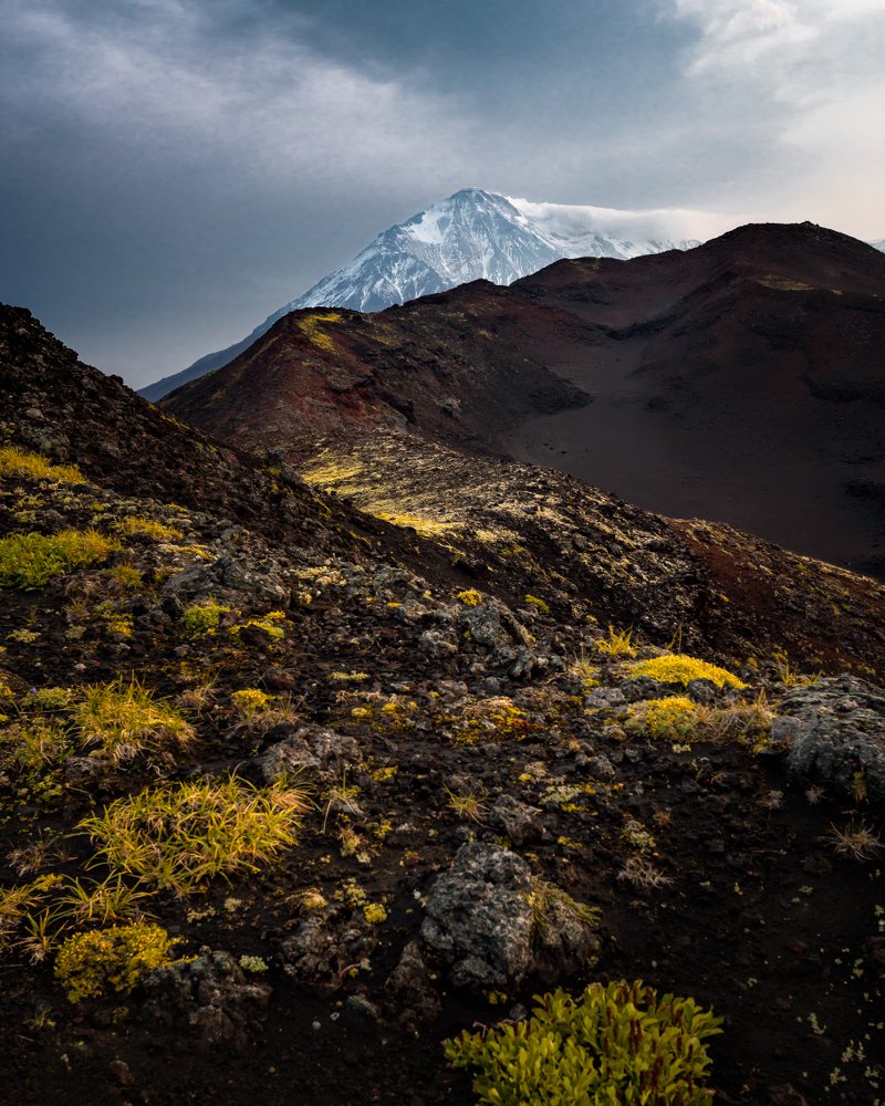 Photograph by Сергей Андреев