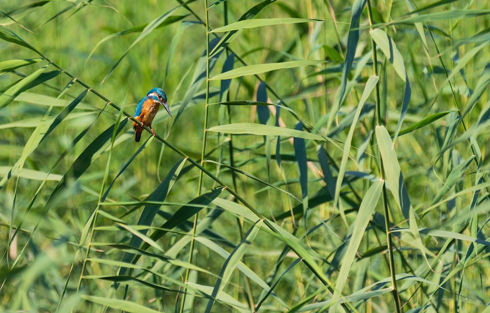 Photograph by Евгений Фруман