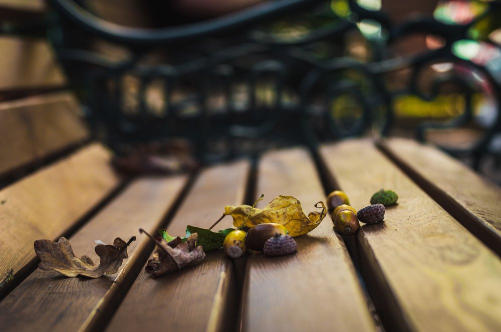 Photograph by Дмитрий Цикин