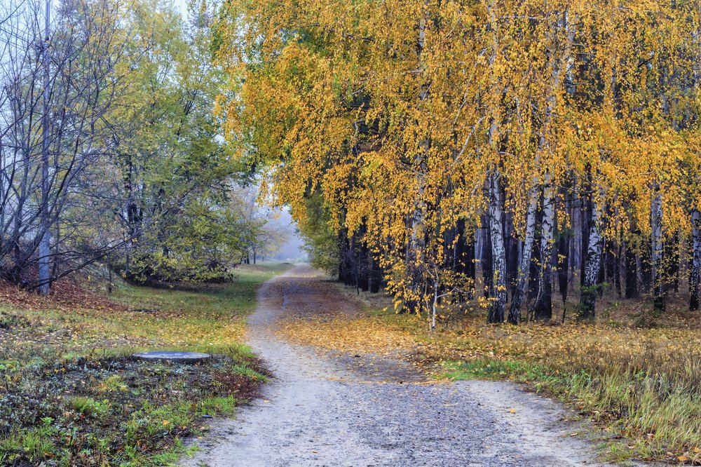 Photograph by Юрий Стародубцев