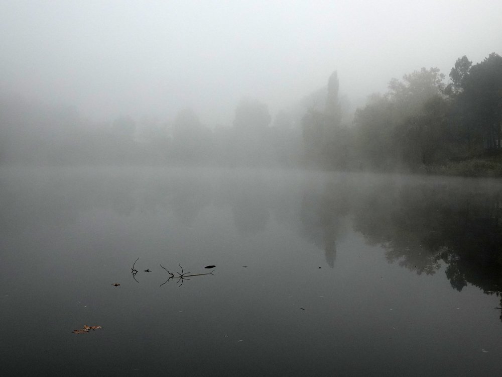 Photograph by Александр Бодягин