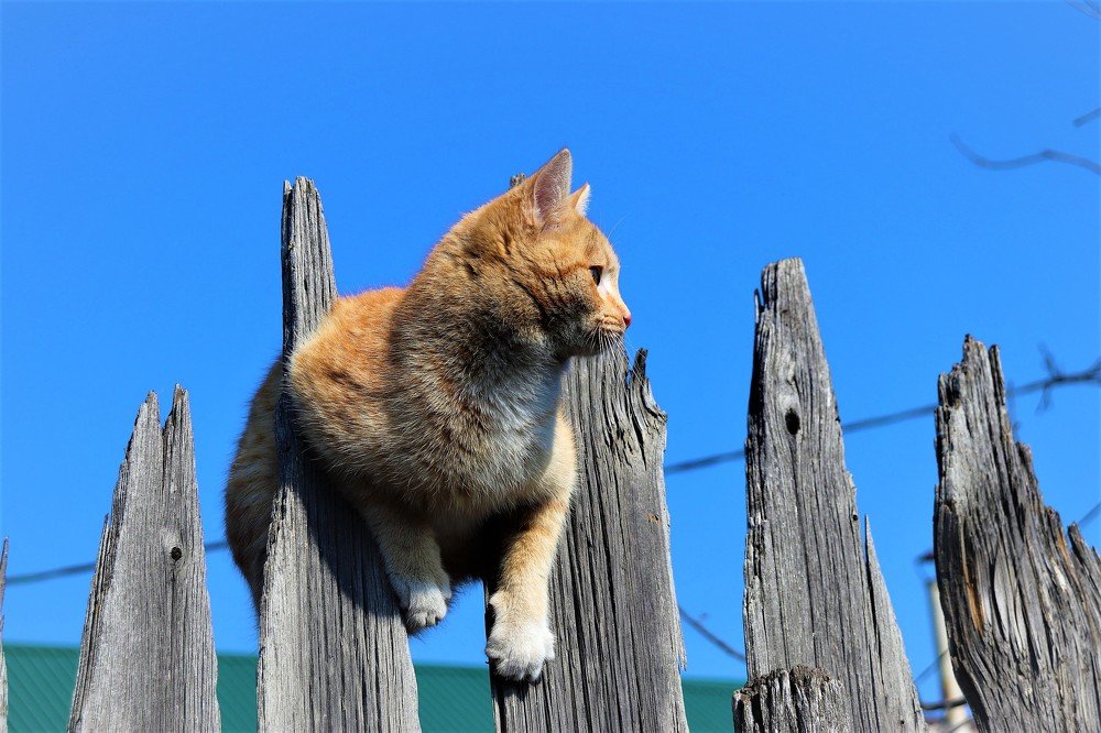 Photograph by Федоренко Элеонора