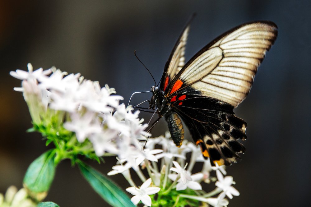 Фотография автора Гудкова Светлана