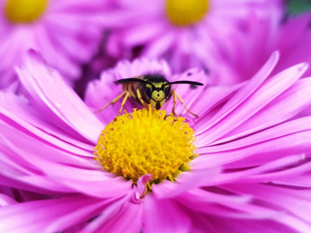 Photograph by Дина Горбачёва