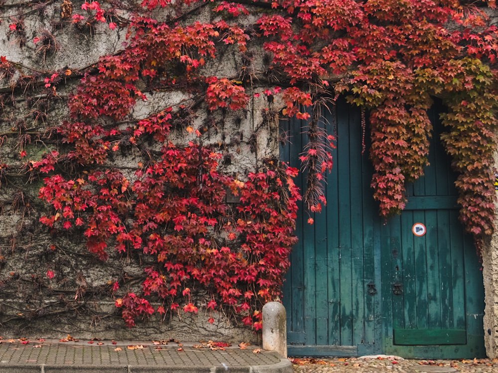 Photograph by Ana Carneiro