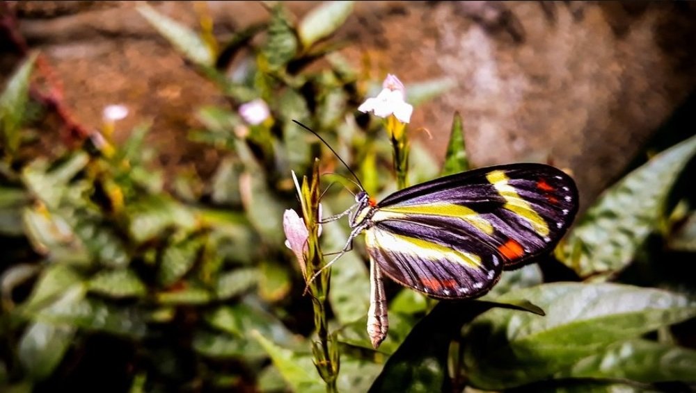Photograph by francisco caicedo
