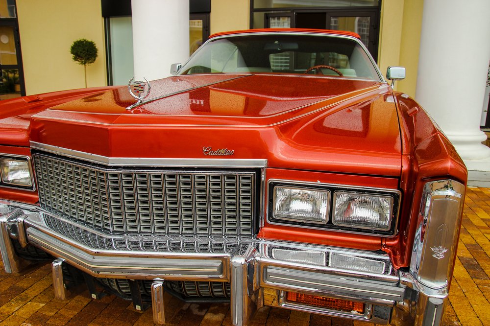 Photograph by Евгений Симион