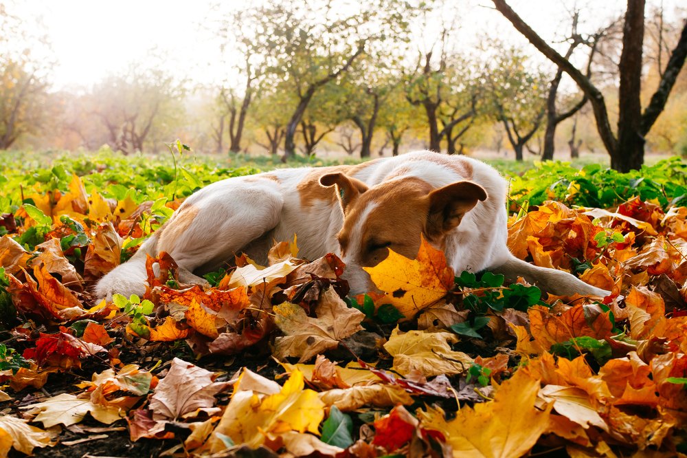 Photograph by Городничева Елена